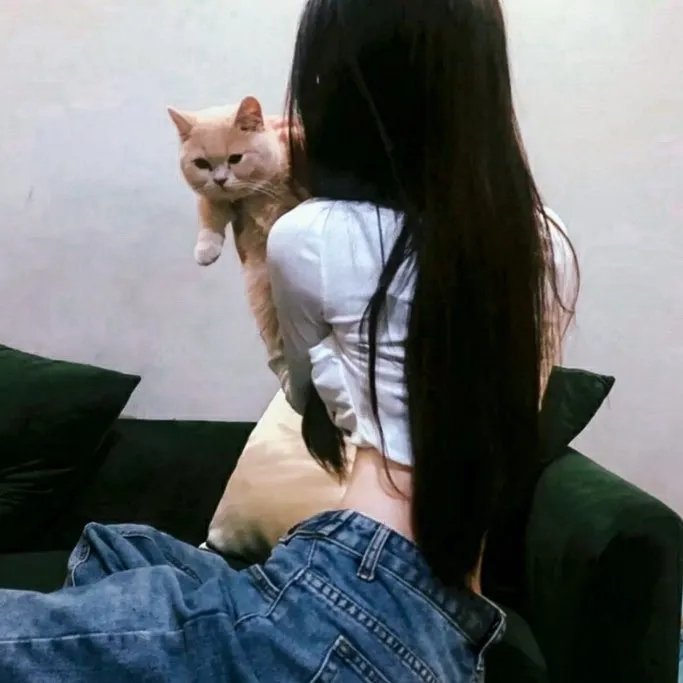 奔向骄阳